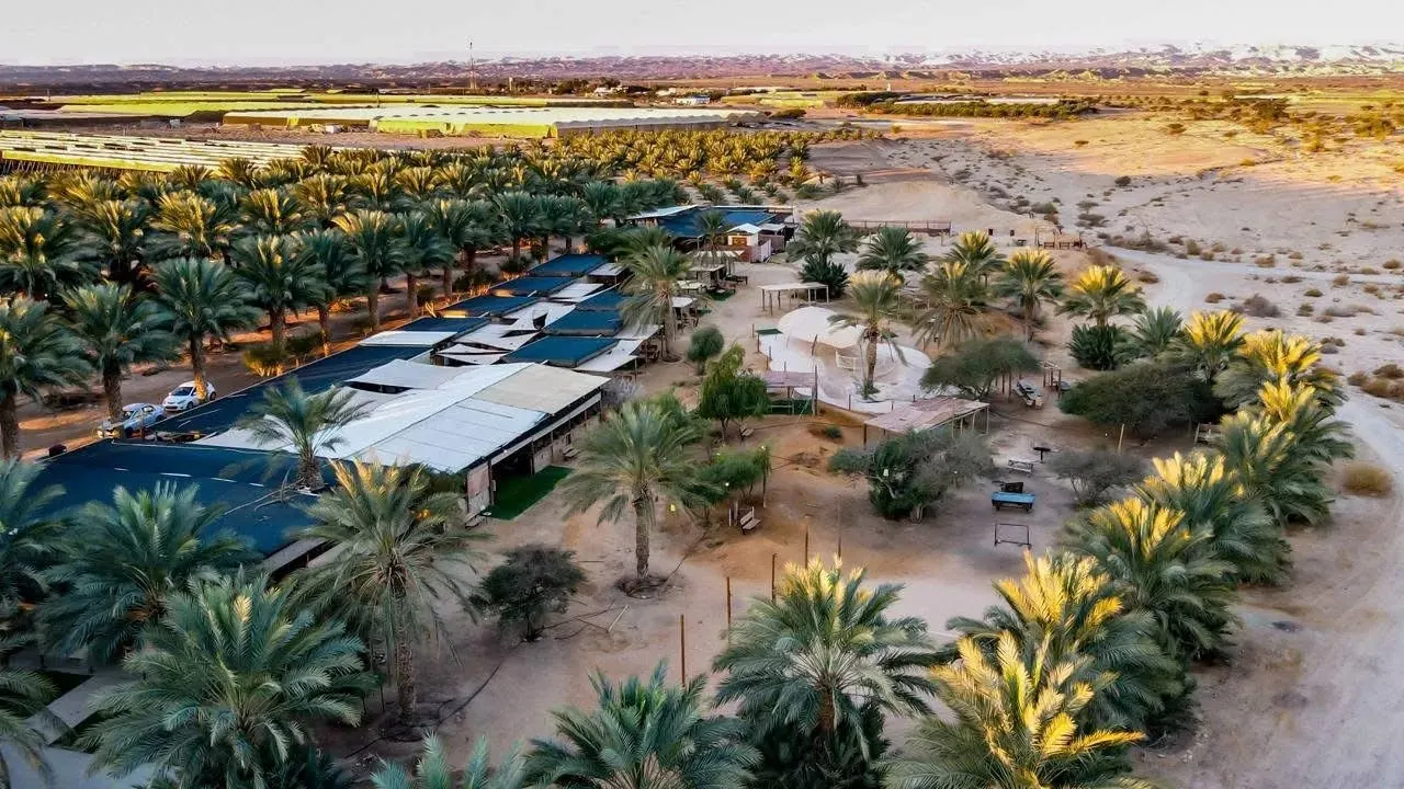 מבט אווירי על חאן ראס־א־שיטה — חאנים בערבה בתוך מטע תמרים
